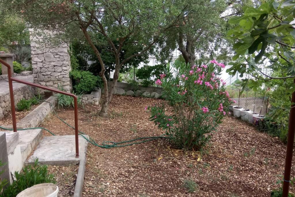 Ferienhaus Am Wasser - Kuca Rio - Iberische Finca In Dalmatien Bilice Extérieur photo